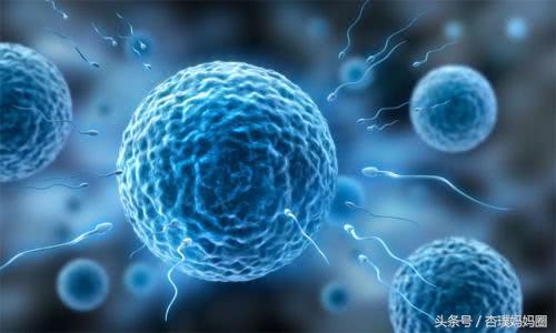 女性身体有什么感觉才是排卵了,女人身上有这三种现象就要反思了