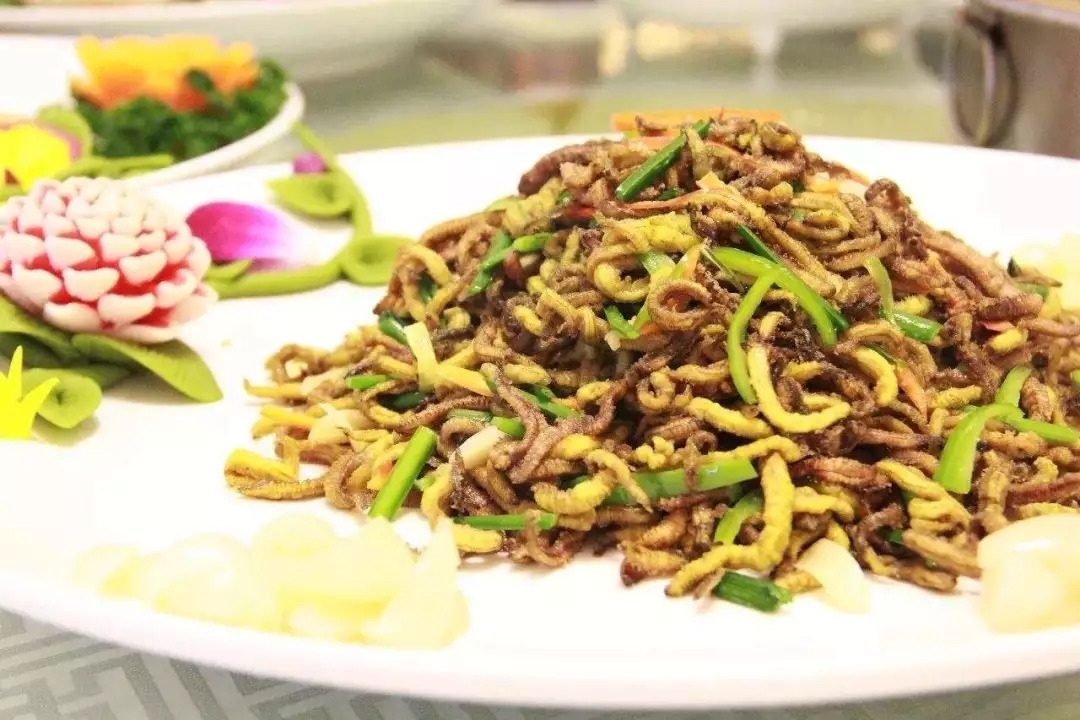 云南什么虫最好吃,广东有什么虫好吃