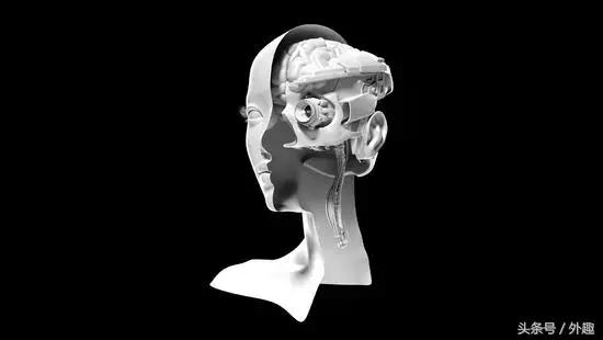 让ai了解现实世界运行逻辑,让ai控制电脑完成操作