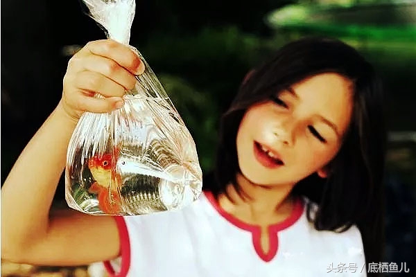 鱼缸有过滤系统为什么水还浑,解决鱼缸水浑最好办法