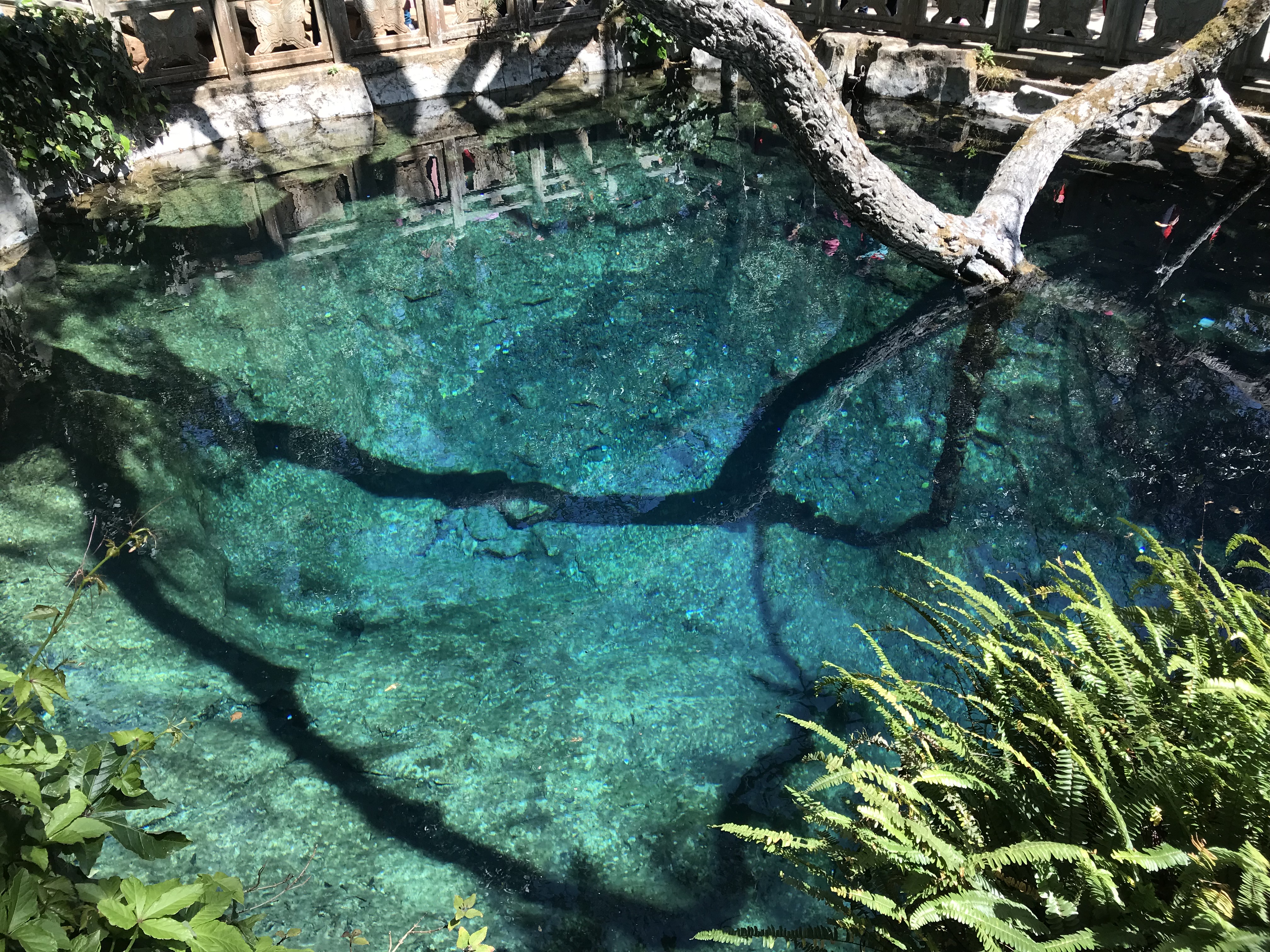 游大理洱海蝴蝶泉游记,云南旅游大理蝴蝶泉攻略图