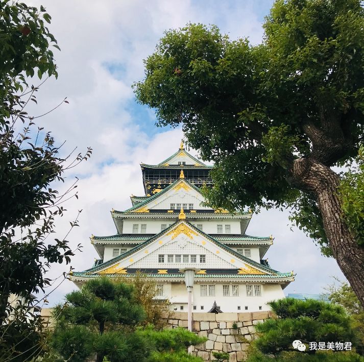 美物君日本之行｜发现了这些美物，真的是去了还想去