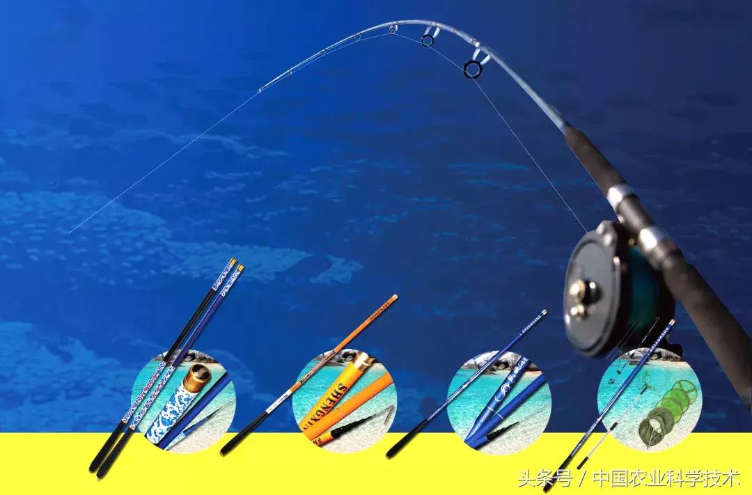 沈凡｜百样钓具实用图解——钓鱼达人必备！