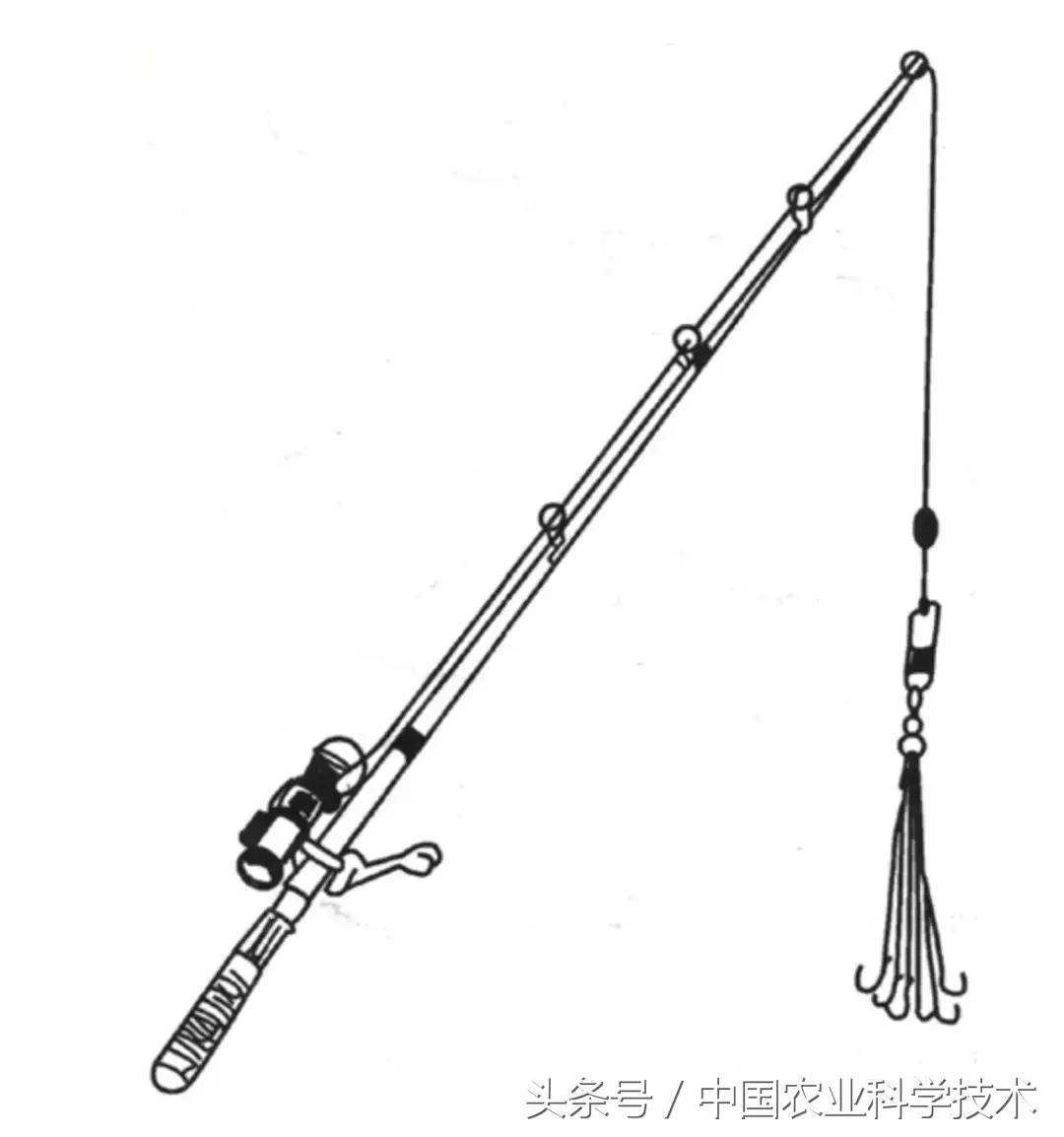 沈凡｜百样钓具实用图解——钓鱼达人必备！