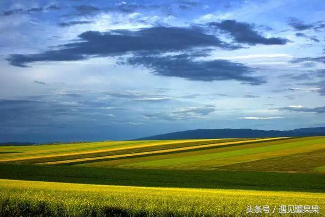 伊犁最美旅游风景区,伊犁旅游攻略探索最美风光