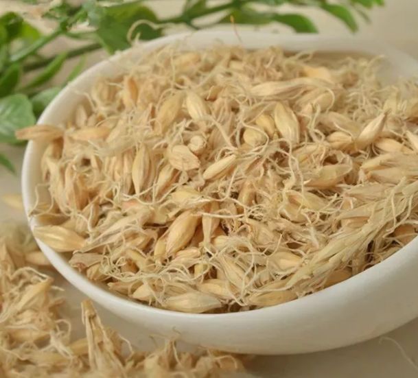 解密脂肪的生长过程,脂肪是如何生长形成的