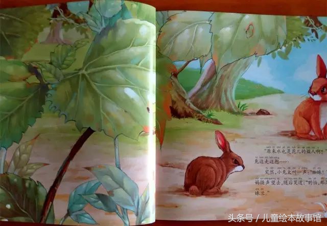 儿童绘本故事美丽的风景,花儿的故事绘本