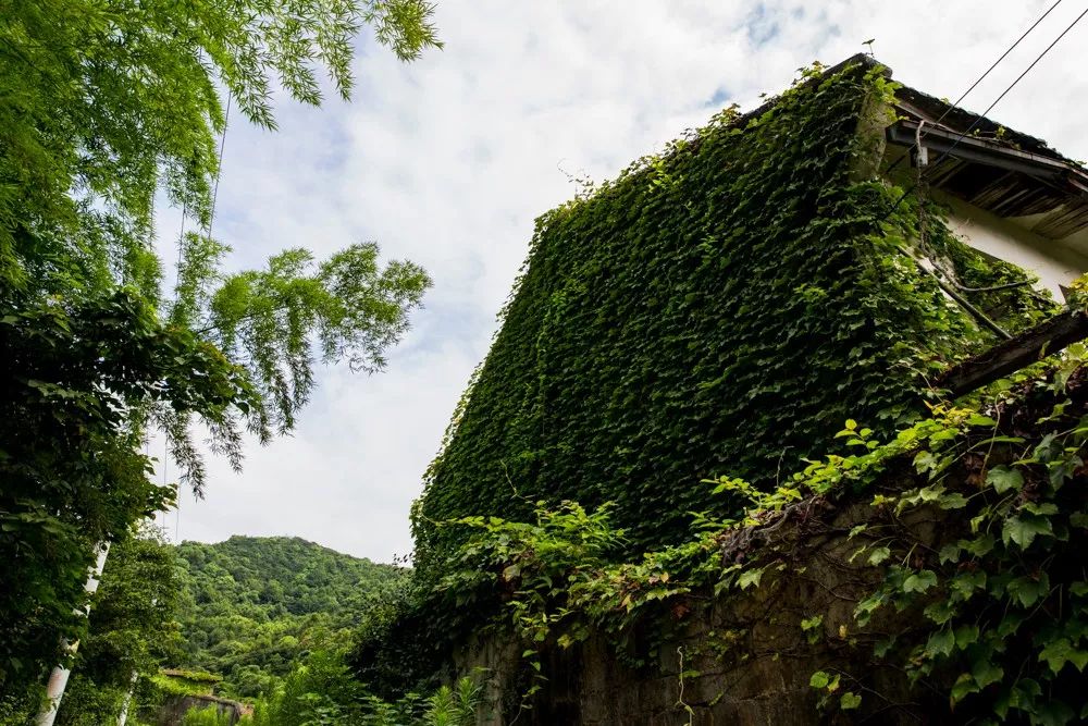 北仑适合夏天爬的山,北仑冬季爬山的地方有哪些