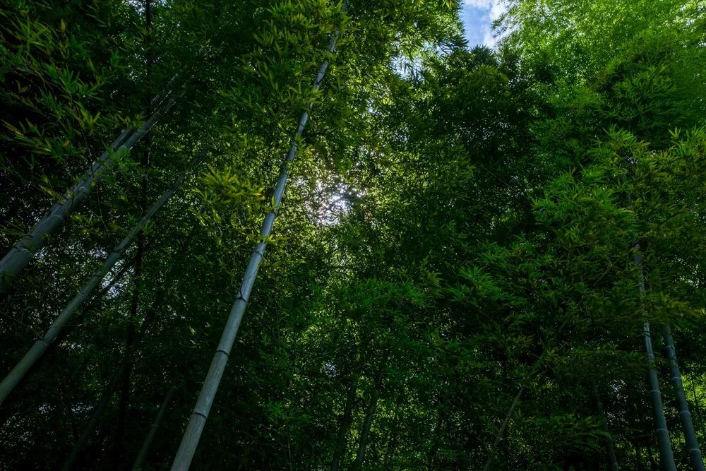 北仑适合夏天爬的山,北仑冬季爬山的地方有哪些
