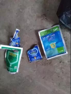 如何科学区分和防治黄瓜病害