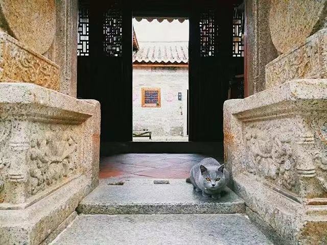 亲爱的客栈民宿排行榜,亲爱的客栈玻璃民宿推荐