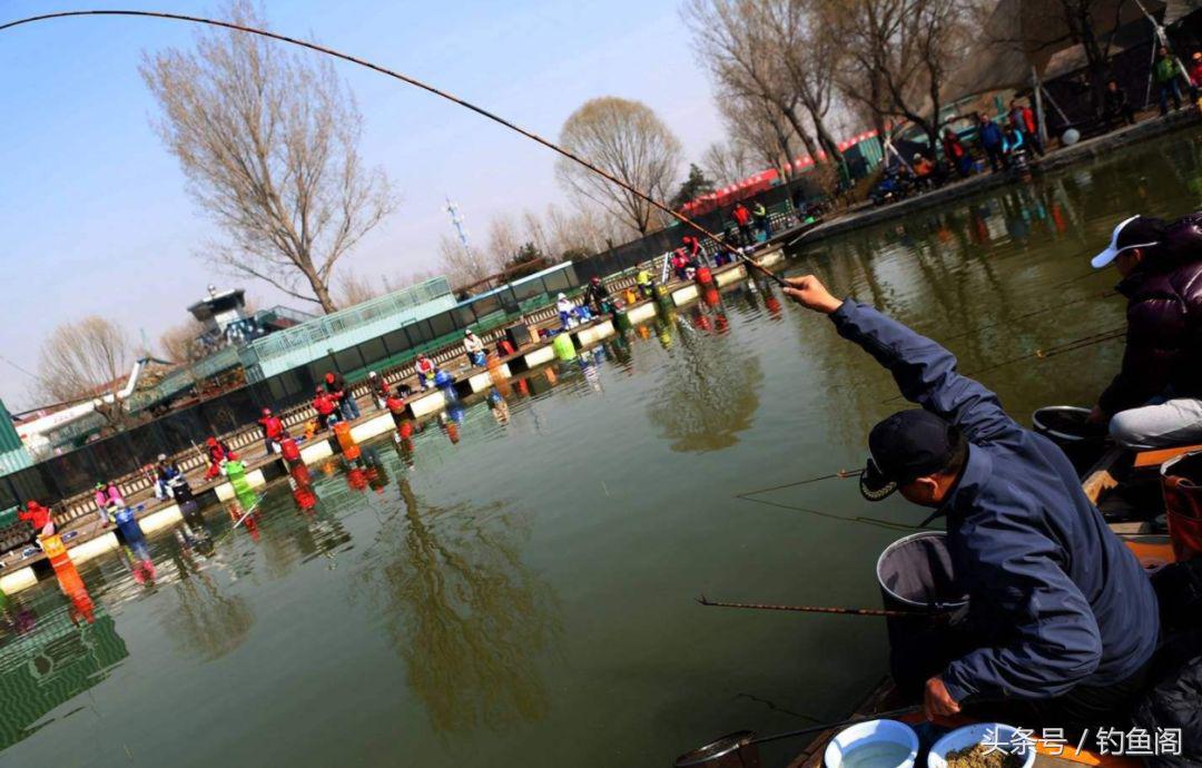钓鱼时子线打结有什么好办法,钓鱼的子线老打结是长的还是短的