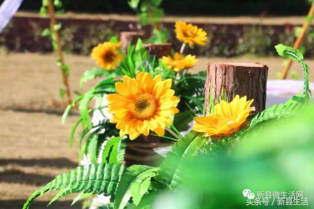 浪漫户外婚礼草坪婚礼,经典户外草坪婚礼