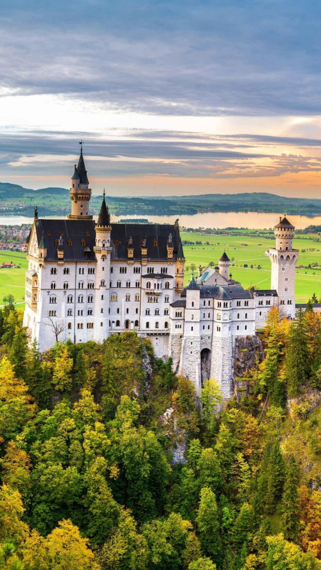 原创论文《当今诗人，以不懂为美》