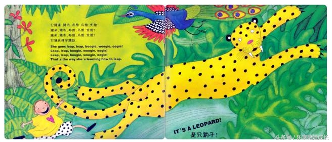 animalboogie绘本,thebook绘本磨耳朵