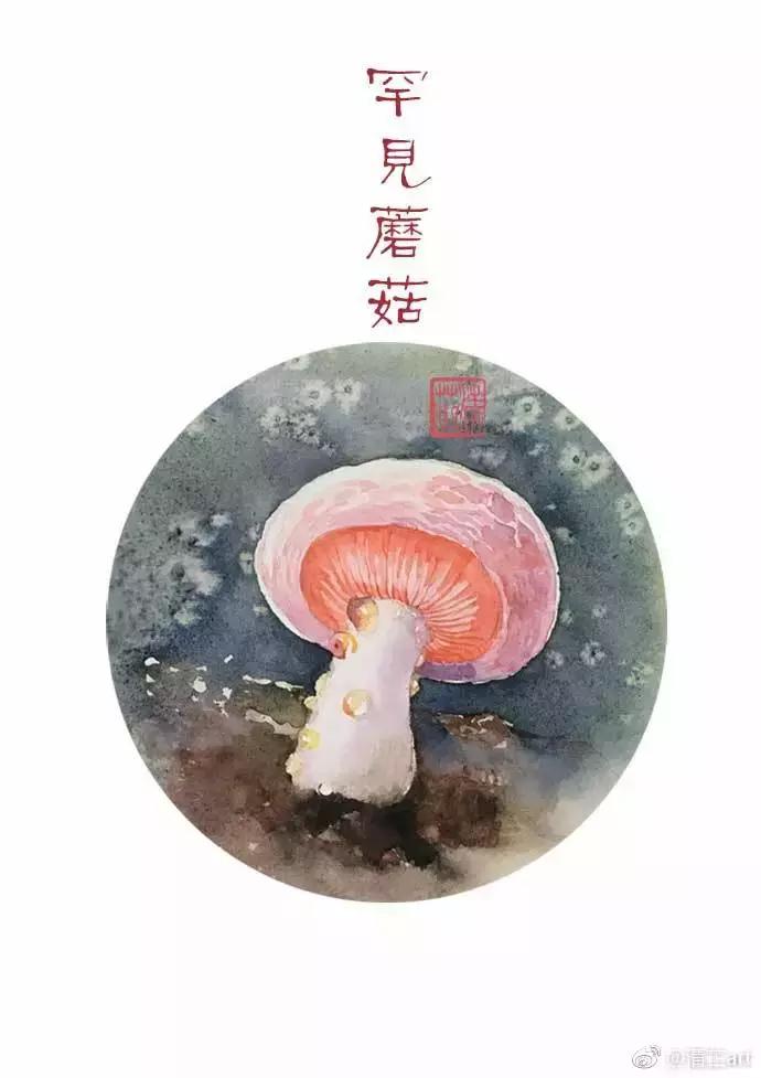 多肉上色真正的原因,多肉上色的变化