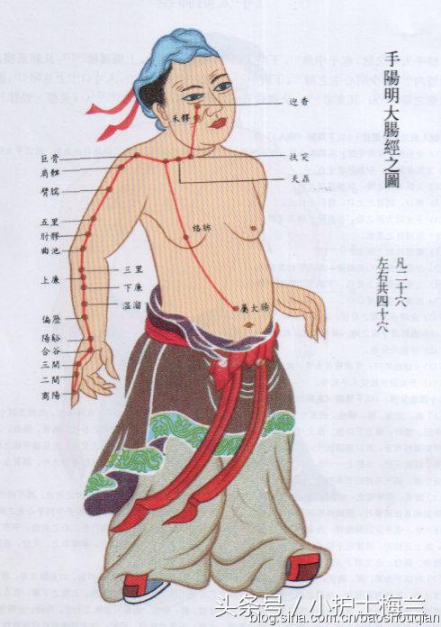 任督二脉功法图,真气打通任督二脉图解