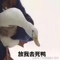 十大良心代购商品,代购最好的单品