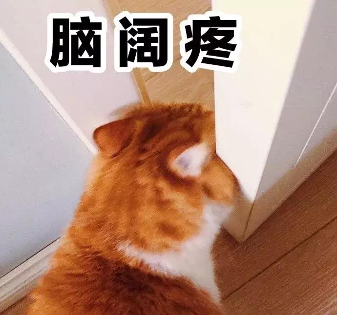 买家秀美轮美奂,墙布买家秀