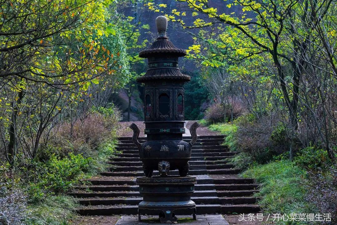 这个寺庙有点怪，只有一个和尚和百名肿瘤病人