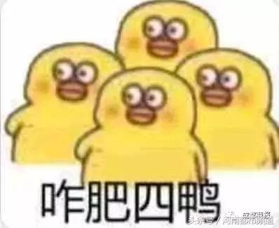 “砰砰”！从7楼坠下，将车顶砸出一个坑！它一点事没有