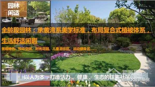 大亚湾澳头新力琥珀园,惠州大亚湾中心区新力东园