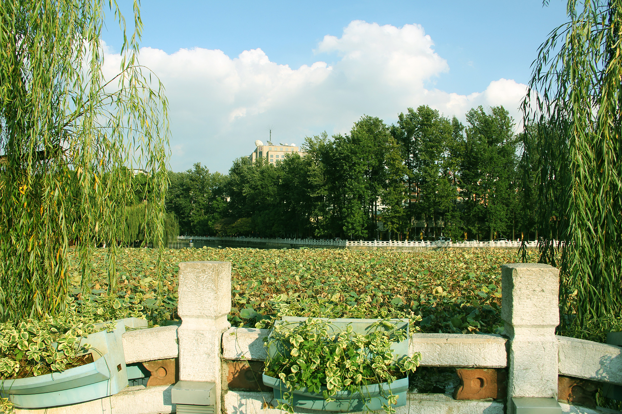 翠湖公园昆明最大的公园,翠湖公园是昆明哪个区