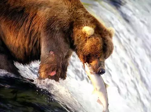冬天去日本北海道的攻略,冬季日本北海道游记