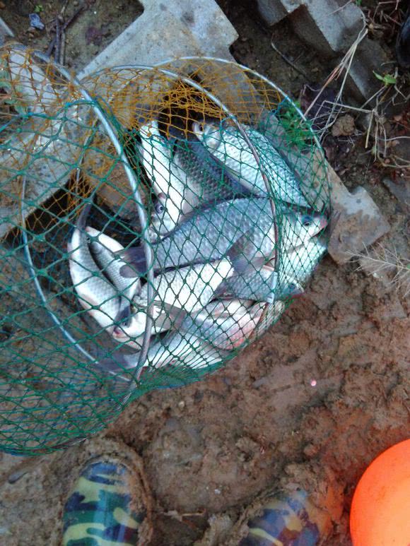 抬线钓法全过程,四川最厉害的钓法