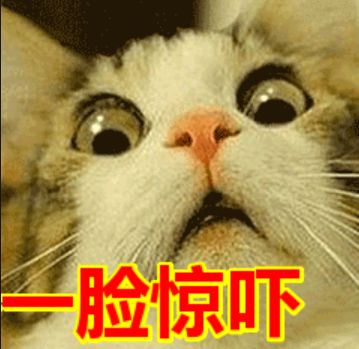 ugg被曝光视频,ugg被查