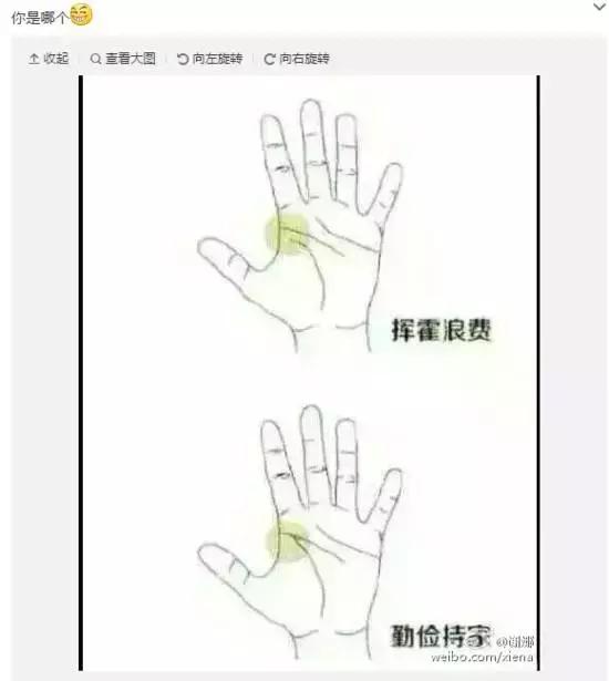 章子怡和刘烨谢娜的关系,章子怡问谢娜还爱刘烨吗的视频