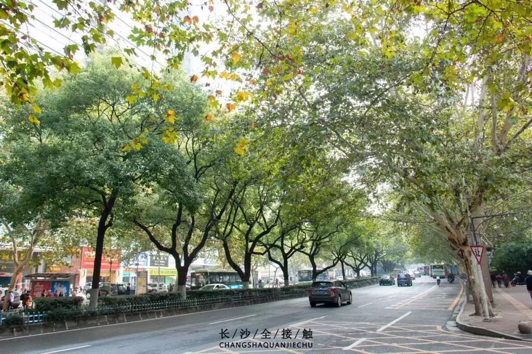 有一种生活叫桐乡,有一种生活叫嘉兴