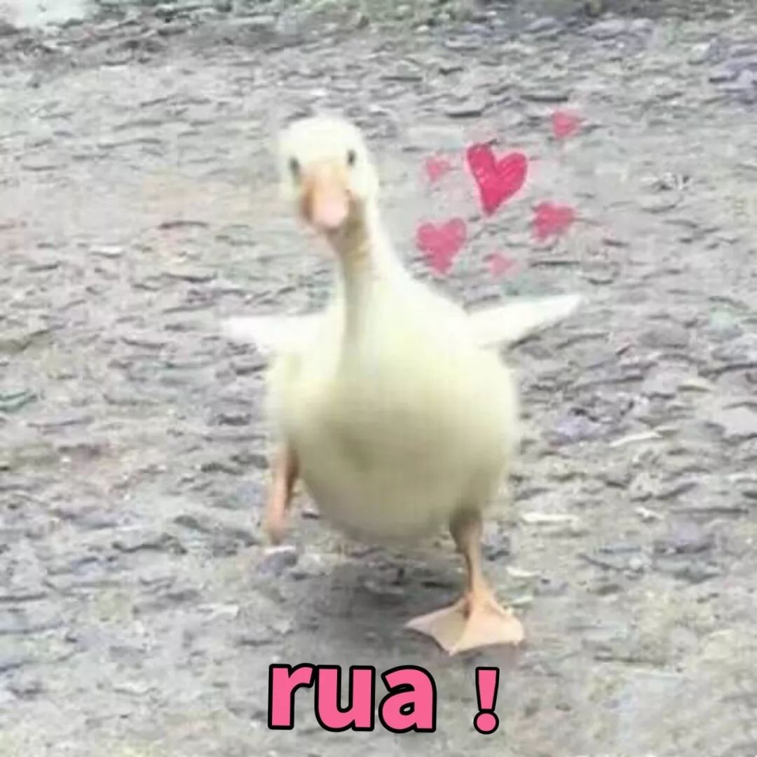 双11攻略必买清单,双11攻略11.11元秒杀