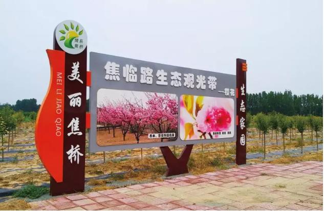 邹平焦桥镇活动,滨州焦桥今日新闻