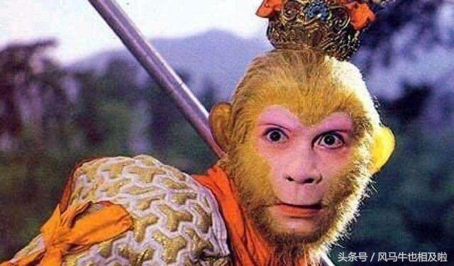 菩提祖师为什么赶走孙悟空片段,菩提祖师因为什么赶走了孙悟空