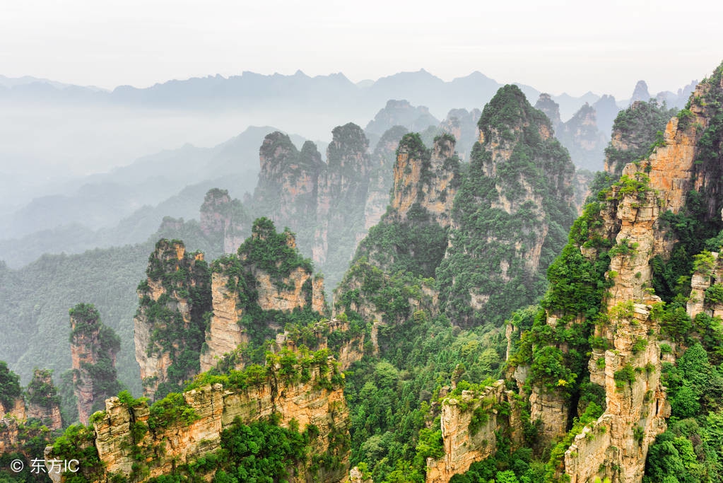 张家界金鞭溪景点介绍词,张家界金鞭溪导游讲解