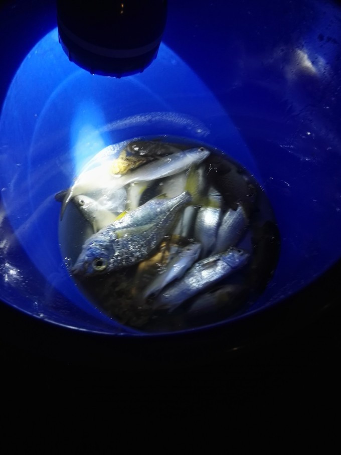 美丽的三亚蓝天白云,三亚蓝天白云美景