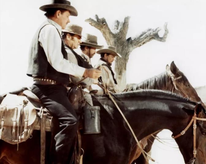 观看西部电影,西部电影荒野大镖客2剧情