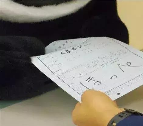 天猫大规模退店,天猫出走