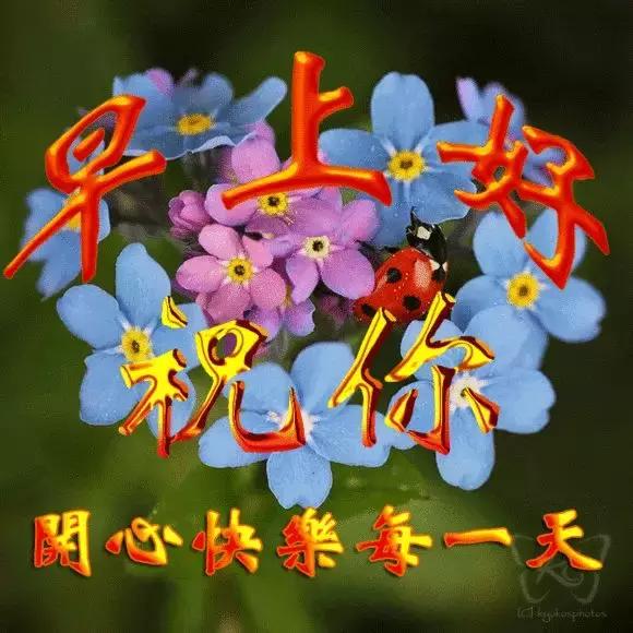 清晨早上好问候祝福动态表情图片,早上最打动人心的问候动态图片