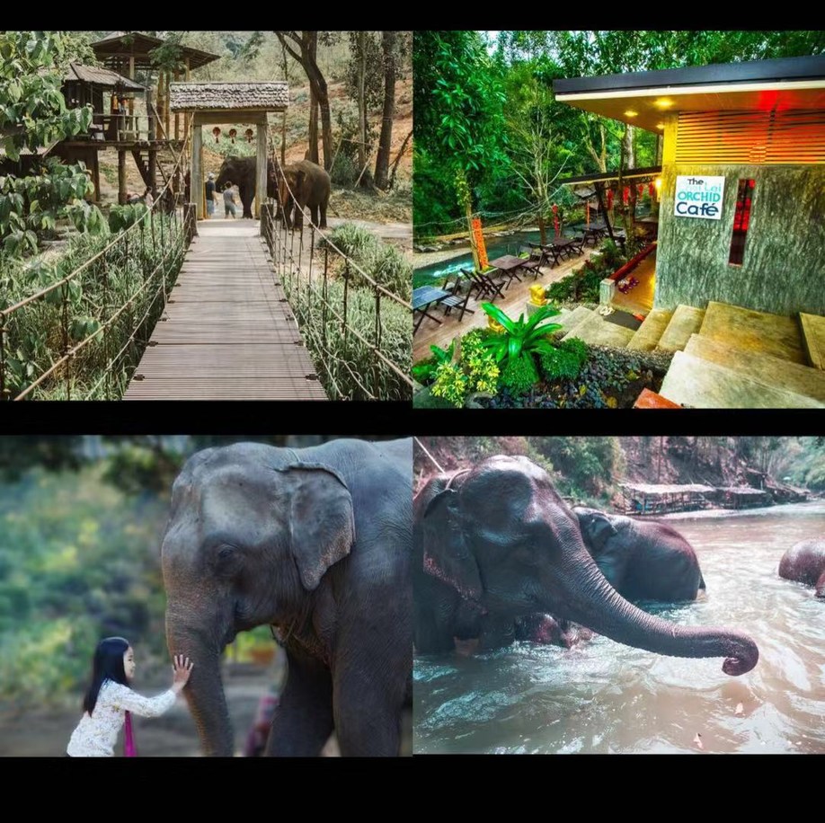 长发美美Sia丫丫带你游遍纸醉金迷曼谷小清新清迈