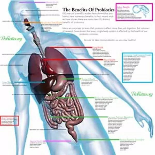 美乐家益生菌视频,美乐家益生菌菌数