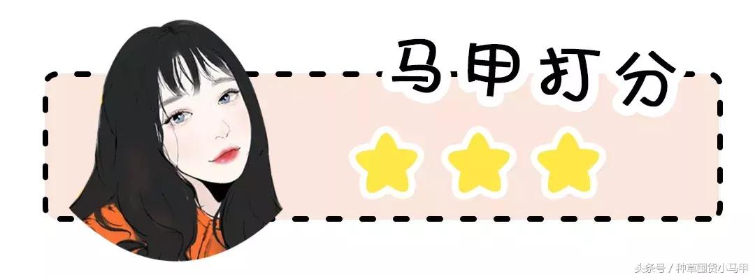 小红书千万不要搜的东西,小红书十块钱值得买的