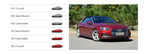 12款奥迪a5两门敞篷值得入手吗,奥迪a52022款敞篷落地价格