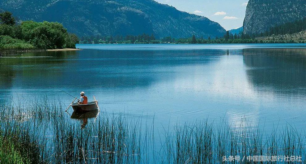 看我72变百变字母秀,看我72变改编