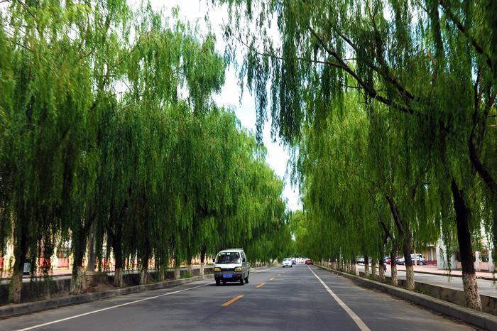 报告文学行遍天下,报告文学纪实