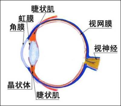 谨慎使用日本的网红眼药水,网红护眼眼药水