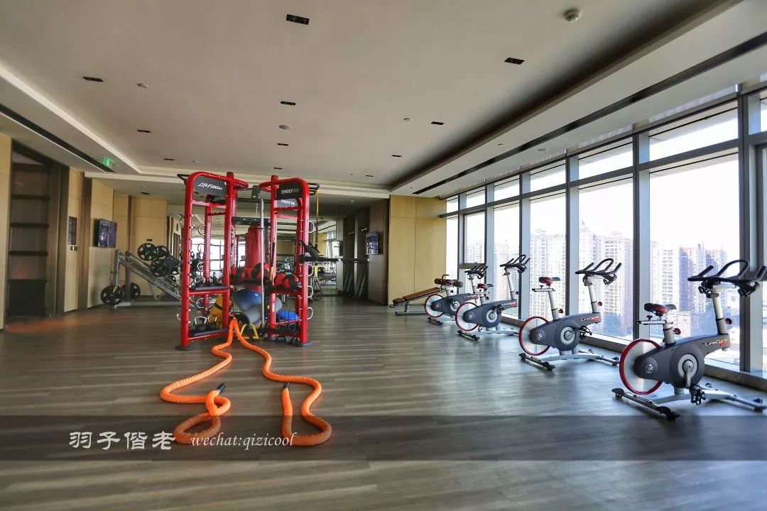 佛山罗浮宫索菲特酒店高山流水,佛山索菲特罗浮宫酒店附近美食