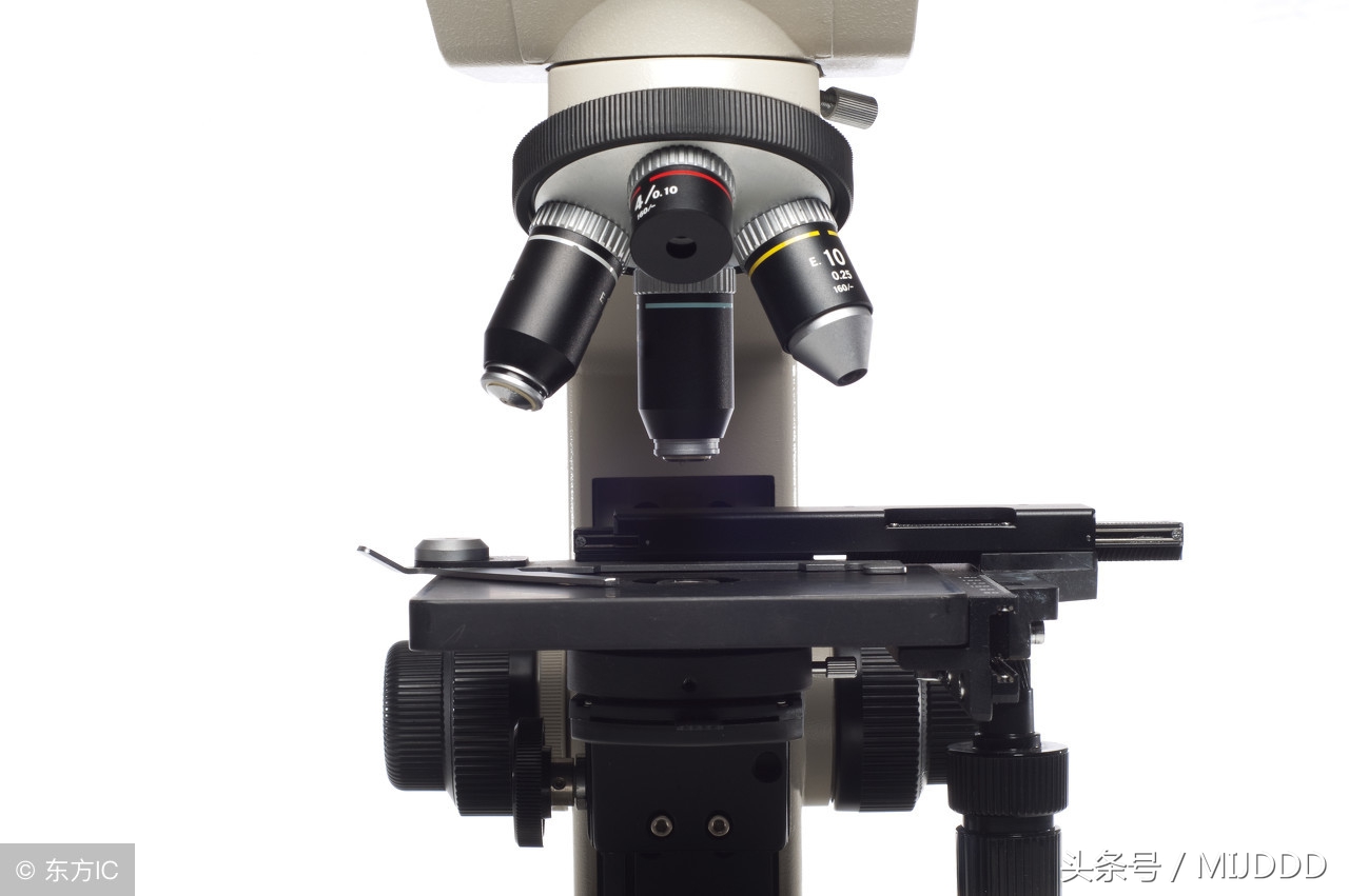 信心比黄金珍贵要坚定信念不盲从,坚定目标有乐观的心态