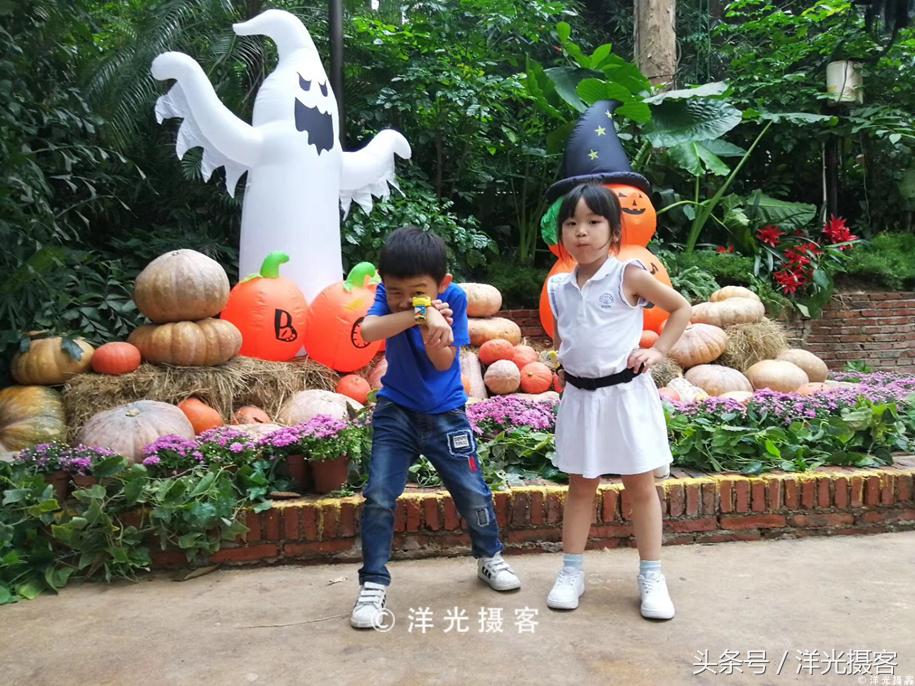 西方国家不给糖就捣蛋的节日,西方有不给糖就捣蛋是什么节日